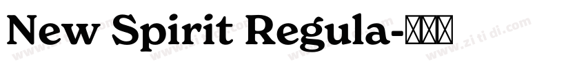 New Spirit Regula字体转换